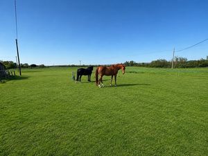 Field - click for photo gallery